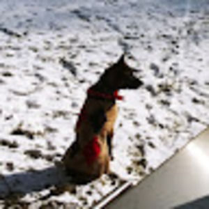 Meet your Posher, Justin